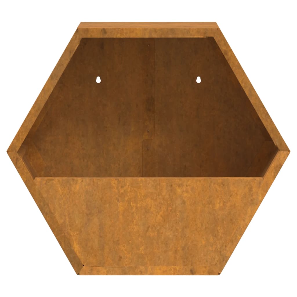 Jardinières Murales 2 Pcs Rouillé Acier Corten
