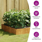 Lit Surélevé De Jardin 100X100X33,5 Cm Acier Corten