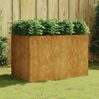 Lit Surélevé De Jardin Acier Corten