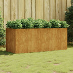 Lit Surélevé De Jardin Acier Corten