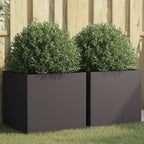 Jardinières 2 Pcs Acier Corten