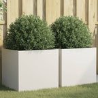 Jardinières 2 Pcs Acier Corten