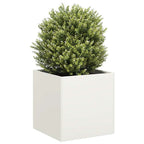 Cache-Pot De Jardin Rouillé