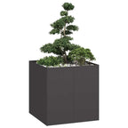 Cache-Pot De Jardin Rouillé