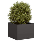 Cache-Pot De Jardin Rouillé