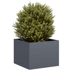 Cache-Pot De Jardin Rouillé