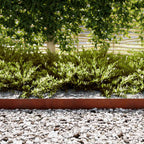 Bordure De Pelouse 20 Pc 100 X 0.05 X 20 Cm Rouillé