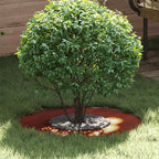 Adapté Pour Anneau D'arbre Plat Rouillé Ø90/