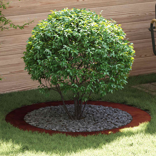 Adapté Pour Anneau D'arbre Plat Rouillé Ø90/