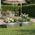 Jardinières 2 Pcs Acier Corten