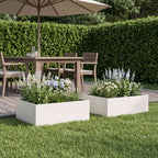 Jardinières 2 Pcs Acier Corten
