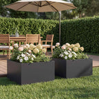 Jardinières 2 Pcs Acier Corten