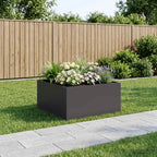 Jardinières 2 Pcs Acier Corten
