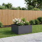 Jardinières 2 Pcs Acier Corten