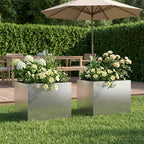 Jardinières 2 Pcs Acier Corten