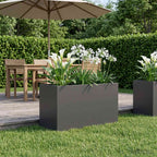 Jardinières 2 Pcs Acier Corten