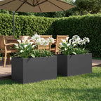 Jardinières 2 Pcs Acier Corten