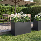 Jardinières 2 Pcs Acier Corten