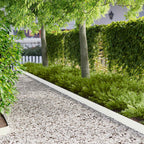 Bordure De Pelouse 20 Pc 103 X Acier Rouillé