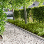Bordure De Pelouse 20 Pc 103 X Acier Rouillé
