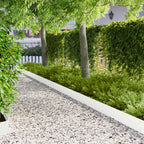 Bordure De Pelouse 20 Pc 103 X Acier Rouillé