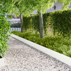 Bordure De Pelouse 20 Pc 103 X Acier Rouillé