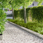 Bordure De Pelouse 20 Pc 103 X Acier Rouillé