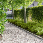 Bordure De Pelouse 30 Pc 103 X Acier Rouillé
