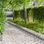 Bordure De Pelouse 30 Pc 103 X Acier Rouillé