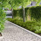 Bordure De Pelouse 30 Pc 100 X Acier Rouillé