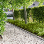 Bordure De Pelouse 30 Pc 100 X Acier Rouillé