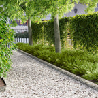 Bordure De Pelouse 30 Pc 100 X Acier Rouillé