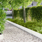 Bordure De Pelouse 30 Pc 100 X Acier Rouillé