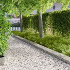 Bordure De Pelouse 30 Pc 100 X Acier Rouillé