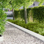 Bordure De Pelouse 10 Pc 102 X 15 X 4 Cm Acier Rouillé