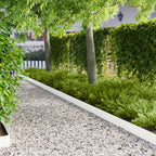Bordure De Pelouse 20 Pc 100 X Acier Rouillé