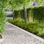 Bordure De Pelouse 30 Pc 100 X 10 X 8 Cm Acier Rouillé