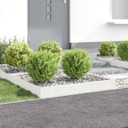 Bordure De Pelouse 4 Pc Acier Rouillé